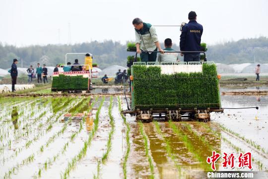 普洱两部门：严厉打击违规骗套农机购置补贴行为